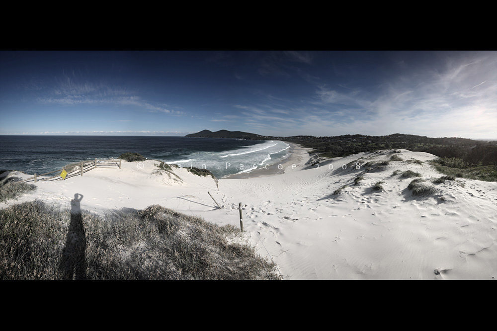 Foster Beach Pan 2