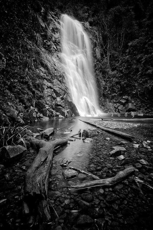 Water Flows BW