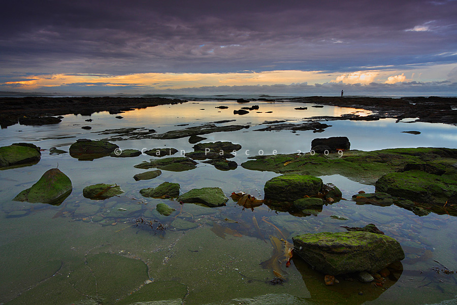 Cucumber Shore