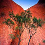 The Wall Of Uluru