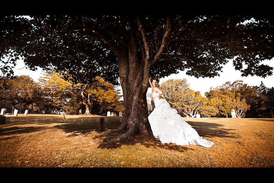 Tree Bride