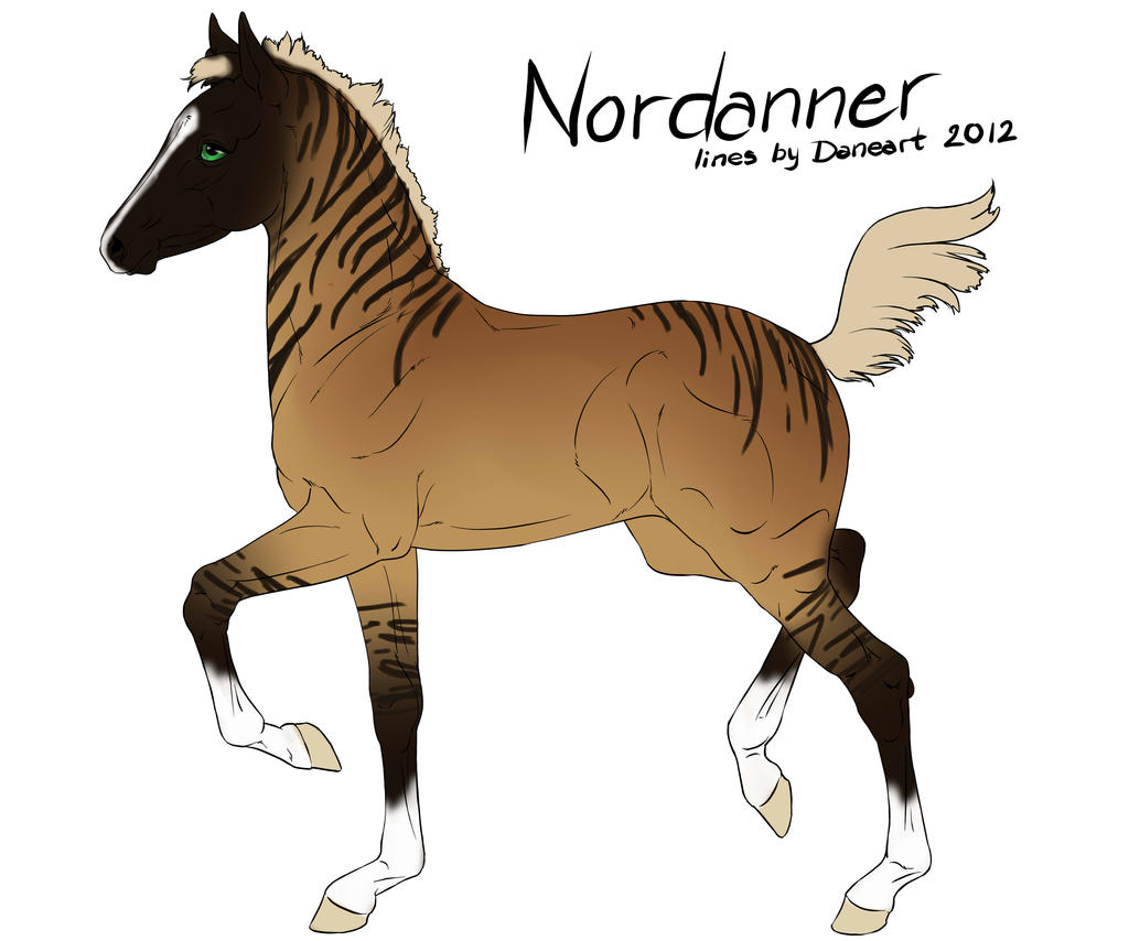 Nordanner Foal 5986