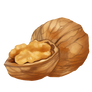 Walnut