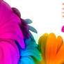 onam