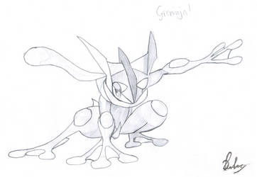 Greninjas are cool B-)