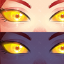 Aerie's Eye Banner