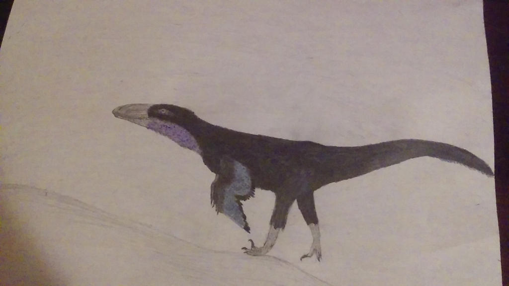 Indigo Raptor Deviantart Raptor by IndigoNova9 on DeviantArt
