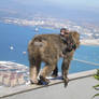 Gibraltar