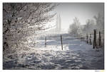 Snow III by Geoffrk
