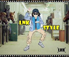 Lnk's Style