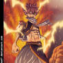 Fairy tail natsu 245