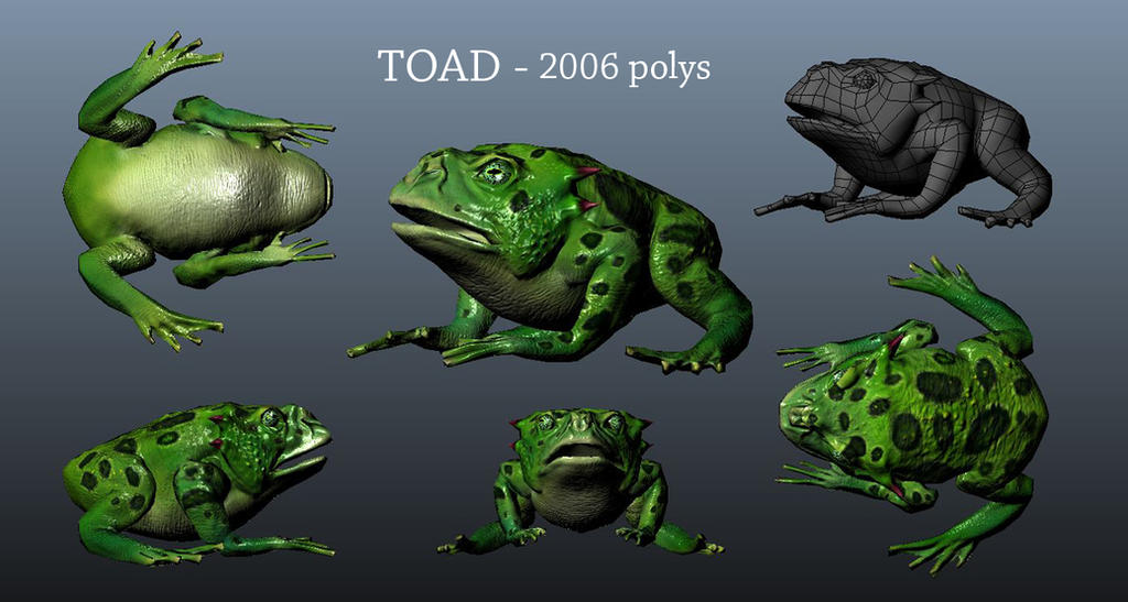 Toad Animation Character Toad Character Sheet by AaronAb on DeviantArt