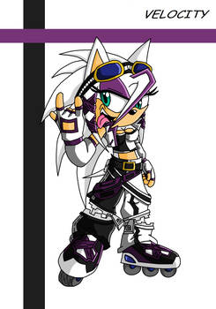 Velocity the Hedgehog