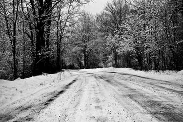 Snowy Road