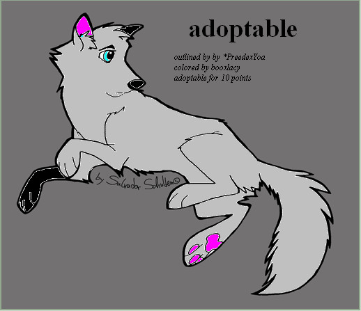 adoptable wolf