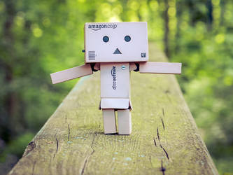 Danbo Says Hello To The World