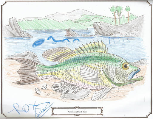 fish coloring book - american black bass