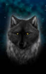 + Night Shines for Aderyn + by Crazdude