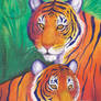 Two tigers watercolor