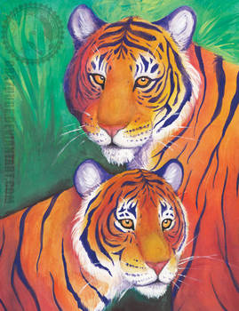 Two tigers watercolor