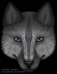 Craz Wolf Face - sample 2 by Crazdude