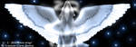 Angels with Silver Wings by Crazdude