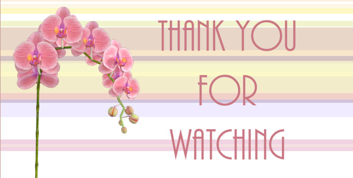 Thank You For Watching By Platycerium On Deviantart
