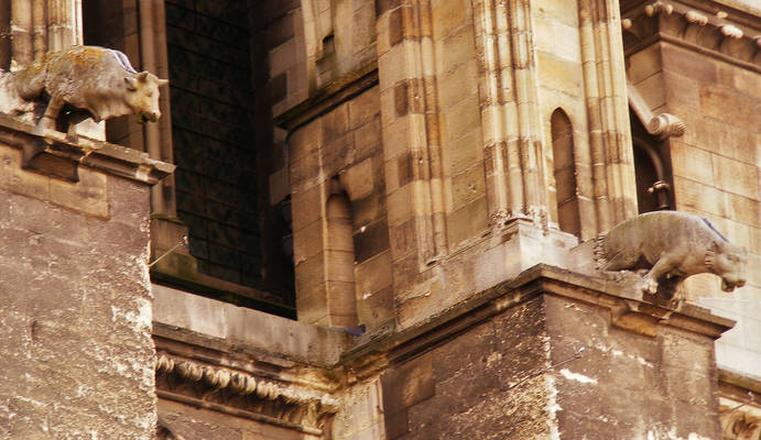 Gargoyls from Reims cathedral