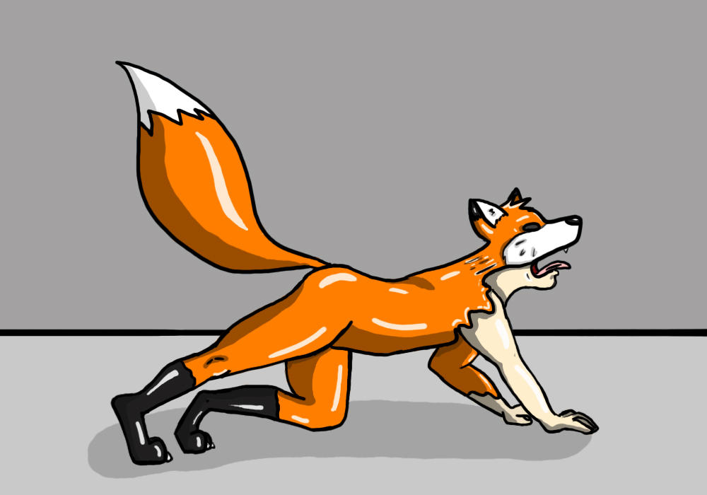 Tpof fox. TF Fox goo. TF Transformation Fox латекс. Night Fox latex Suit TF fox0808. Latex Suit Fox TF.