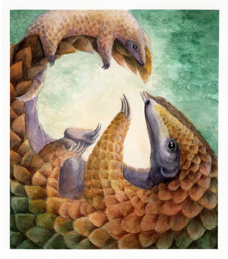 Pangolins