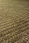 Pavement I by josgoh