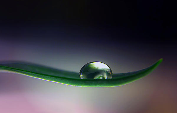 Droplet 16