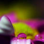 Droplet 22