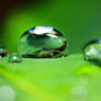 Droplets