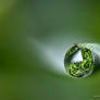 Water Droplet