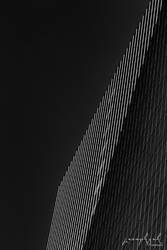 Rhythms