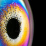 Bubble That resembles an Eyeball