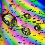 Water Droplets