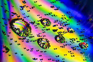 Water Droplets