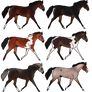 .: OPEN :. Agouti Horse Adopts (1/6)