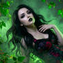 Allure of Leaves (7)