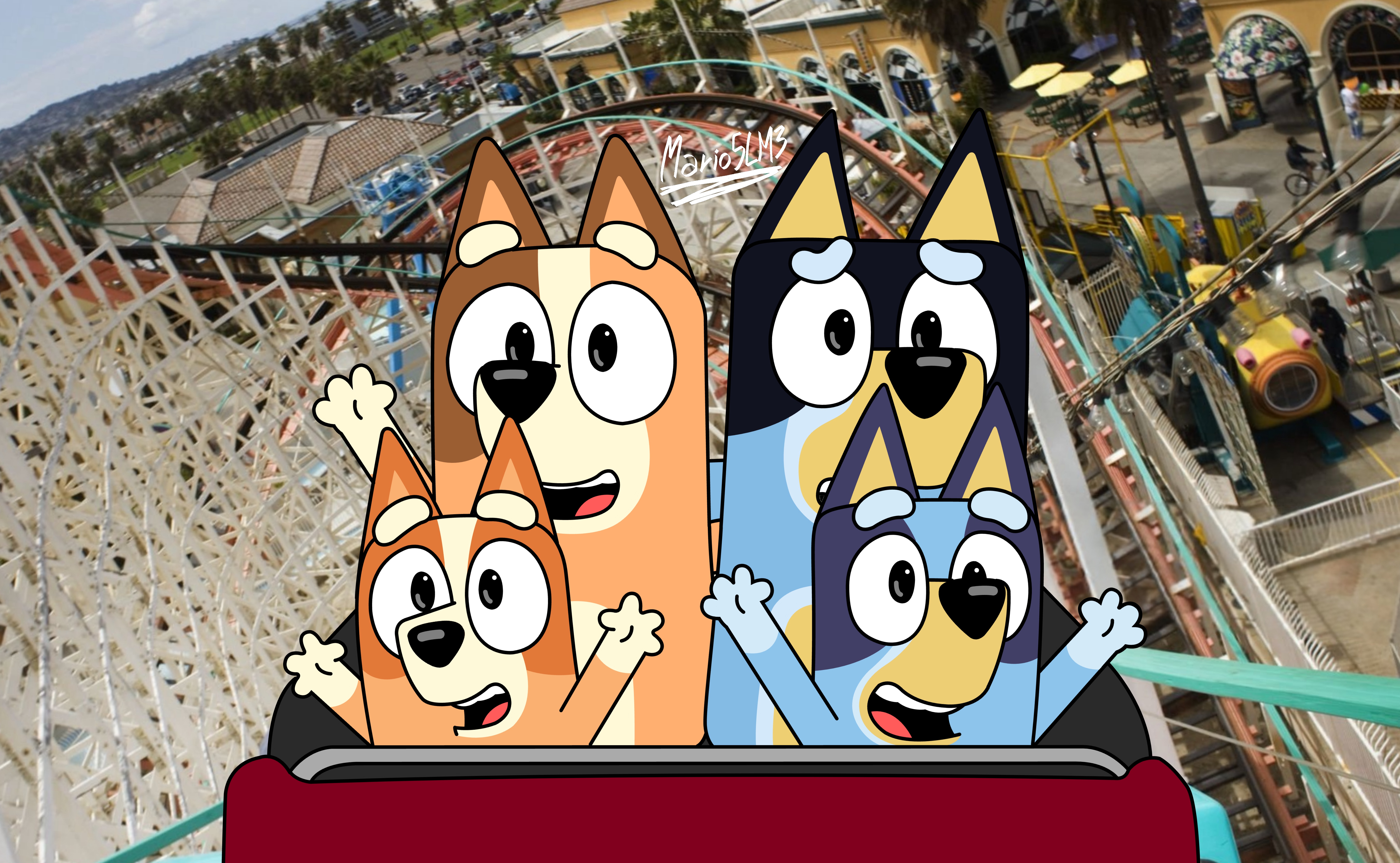 Family Rollercoaster Ride