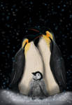 Emperor Penguins (Aptenodytes forsteri) by NadilynBeato