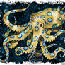 Blue Ringed Octopus