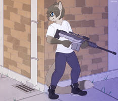 Sniper - Commission