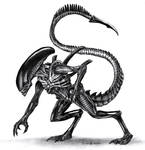 Xenomorph by Glaiceana