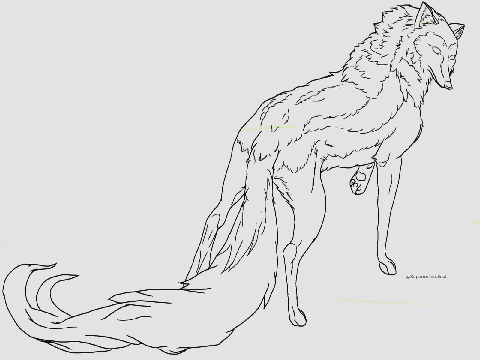 Kinda looks like a coyote... -free line-art-