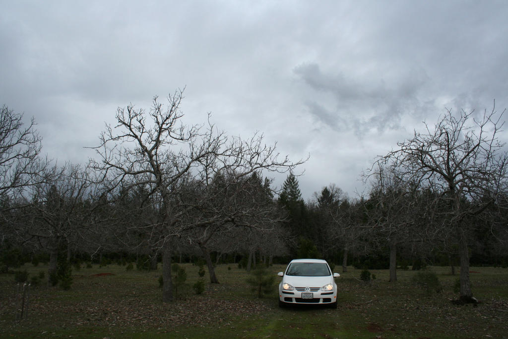 VW Rabbit 1 by Bluetork on DeviantArt