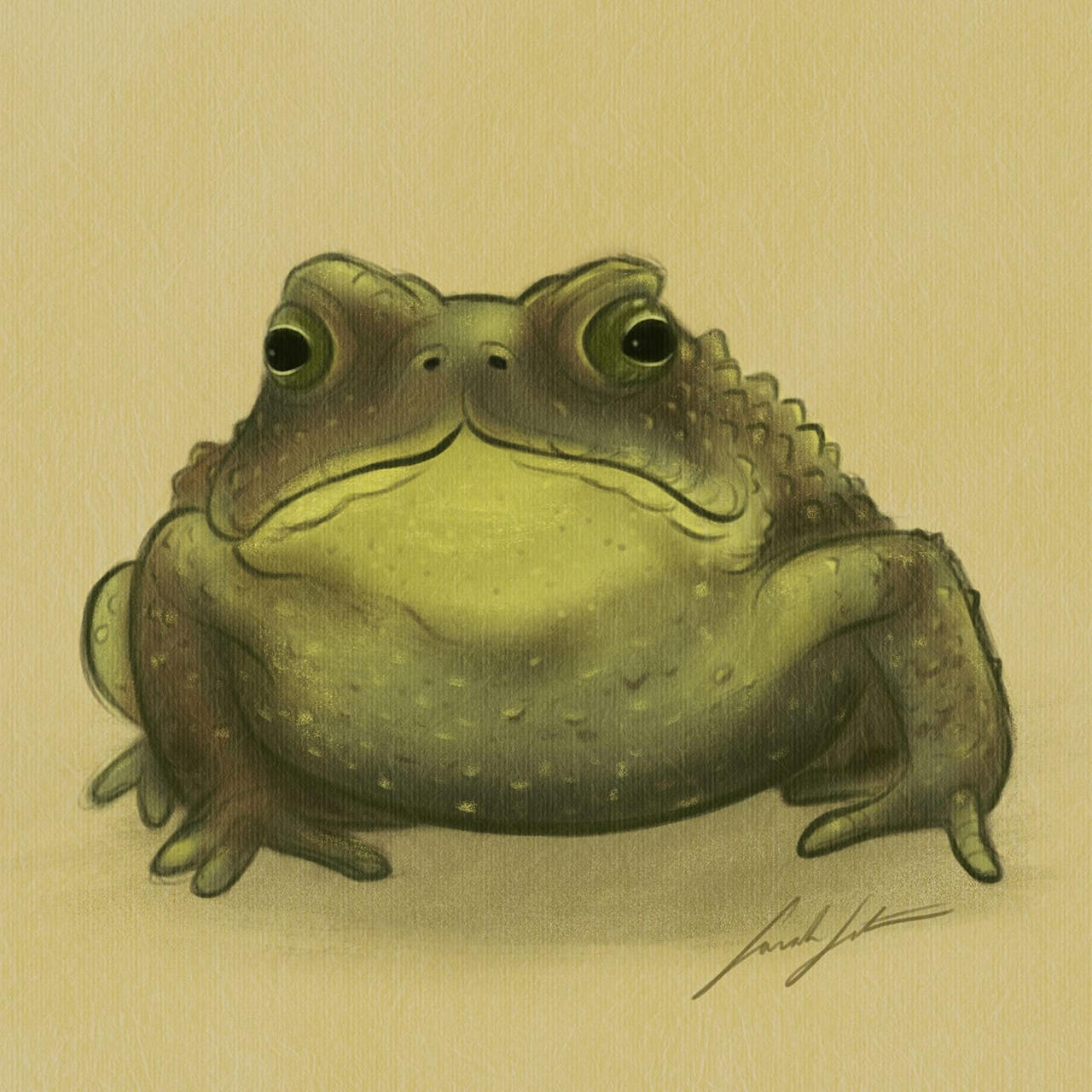 Mr. Toad by SarahSatrun on DeviantArt