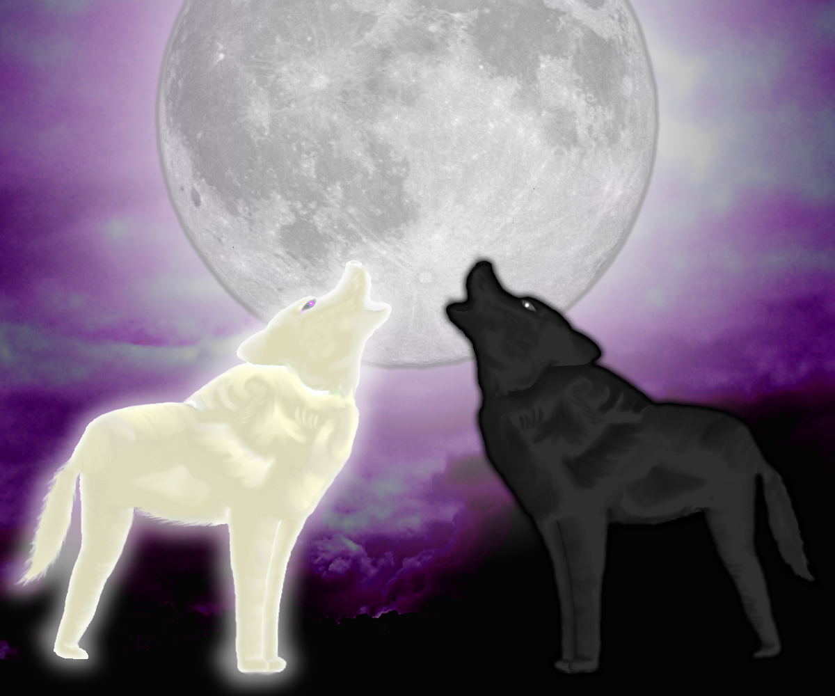 Белые волки и Луна вышивка. Wolf Howling at the Moon. Howling Moon 1.12.2. Wolf animation.